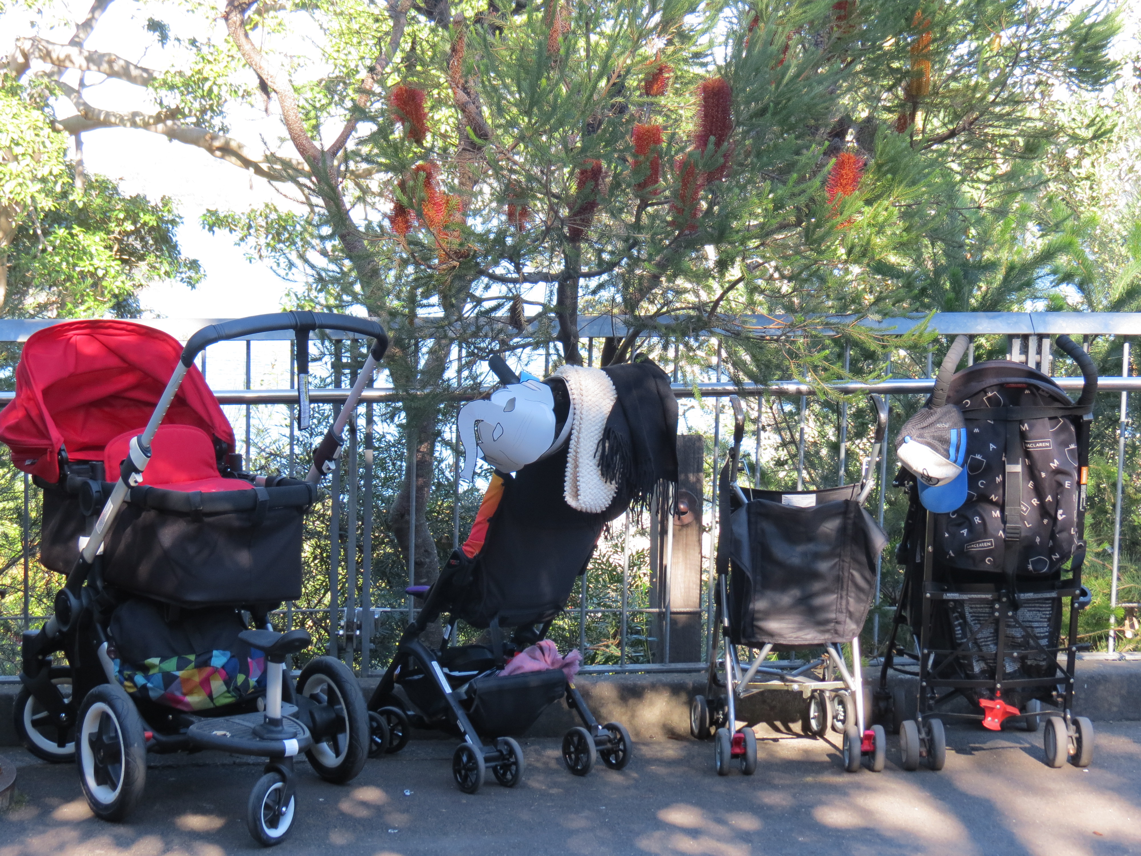 image of 4 buggy stroller at the zoo stroller parking area