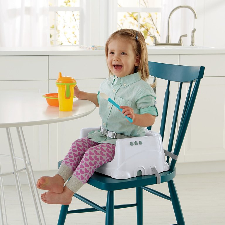 Fisher-Price Healthy Care Deluxe Booster Seat 3